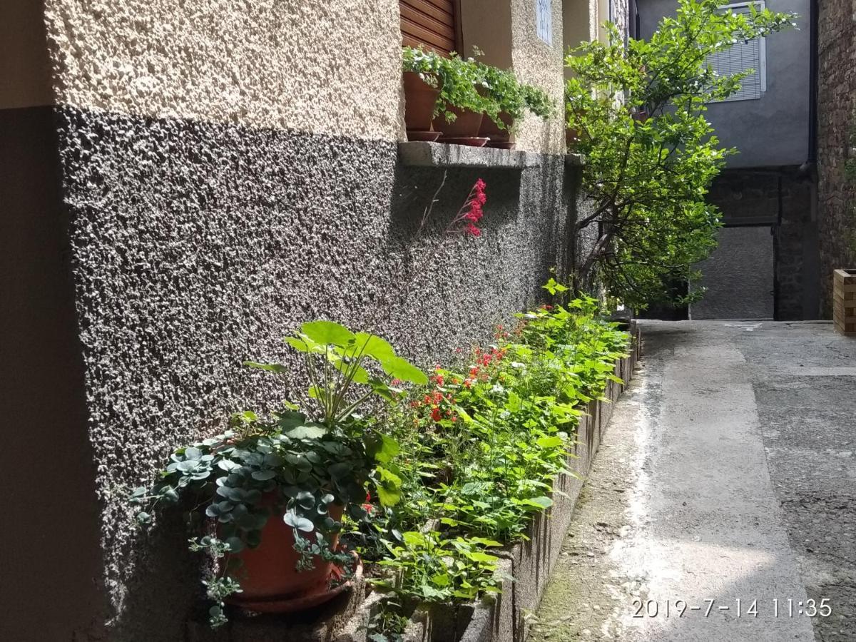 托尔拉Casa Julio别墅 外观 照片